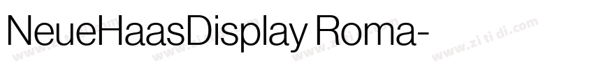 NeueHaasDisplay Roma字体转换